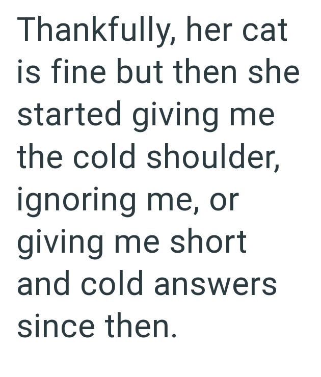 Thankfully, her cat is fine but then she started giving me the cold shoulder, ignoring me, or giving me short and cold answers since then.