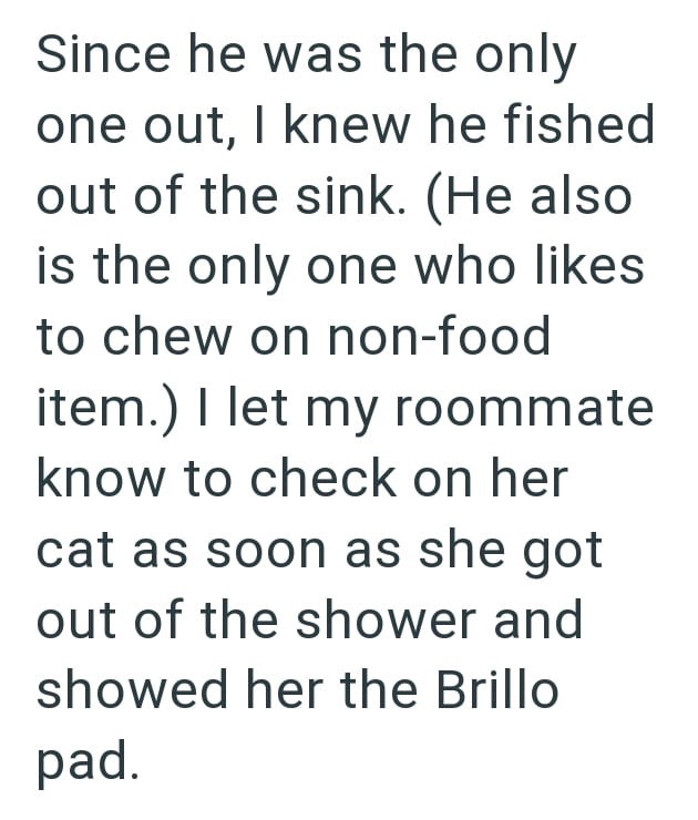 Since he was the only one out, I knew he fished out of the sink. (He also is the only one who likes to chew on non-food item.) I let my roommate know to check on her cat as soon as she got out of the shower and showed her the Brillo pad.