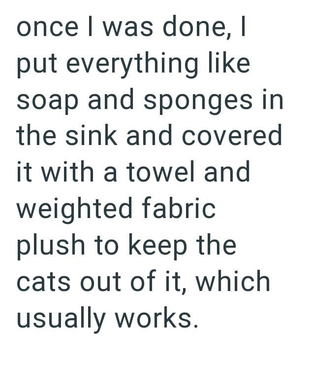 once I was done, I put everything like soap and sponges in the sink and covered it with a towel and weighted fabric plush to keep the cats out of it, which usually works.