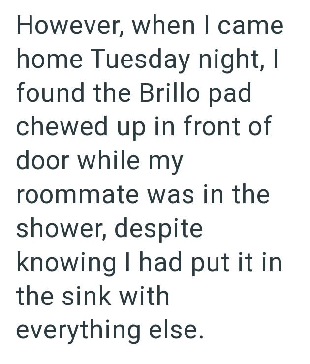 However, when I came home Tuesday night, I found the Brillo pad chewed up in front of door while my roommate was in the shower, despite knowing I had put it in the sink with everything else.