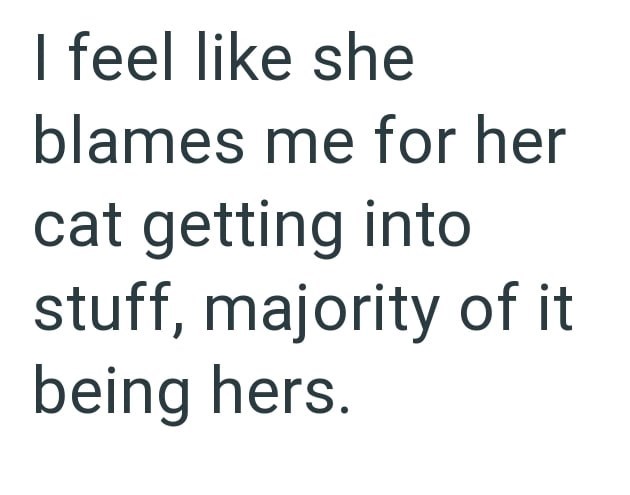 I feel like she blames me for her cat getting into stuff, majority of it being hers.