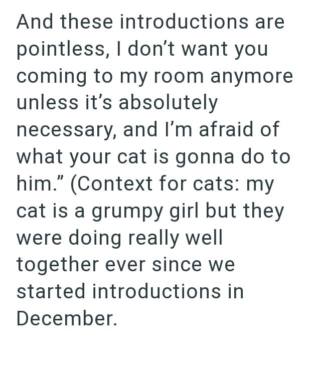 And these introductions are pointless, I don't want you coming to my room anymore unless it's absolutely necessary, and I'm afraid of what your cat is gonna do to him." (Context for cats: my cat is a grumpy girl but they were doing really well together ever since we started introductions in December.