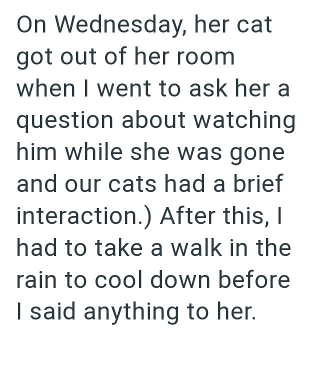 On Wednesday, her cat got out of her room when I went to ask her a question about watching him while she was gone and our cats had a brief interaction.) After this, I had to take a walk in the rain to cool down before I said anything to her.