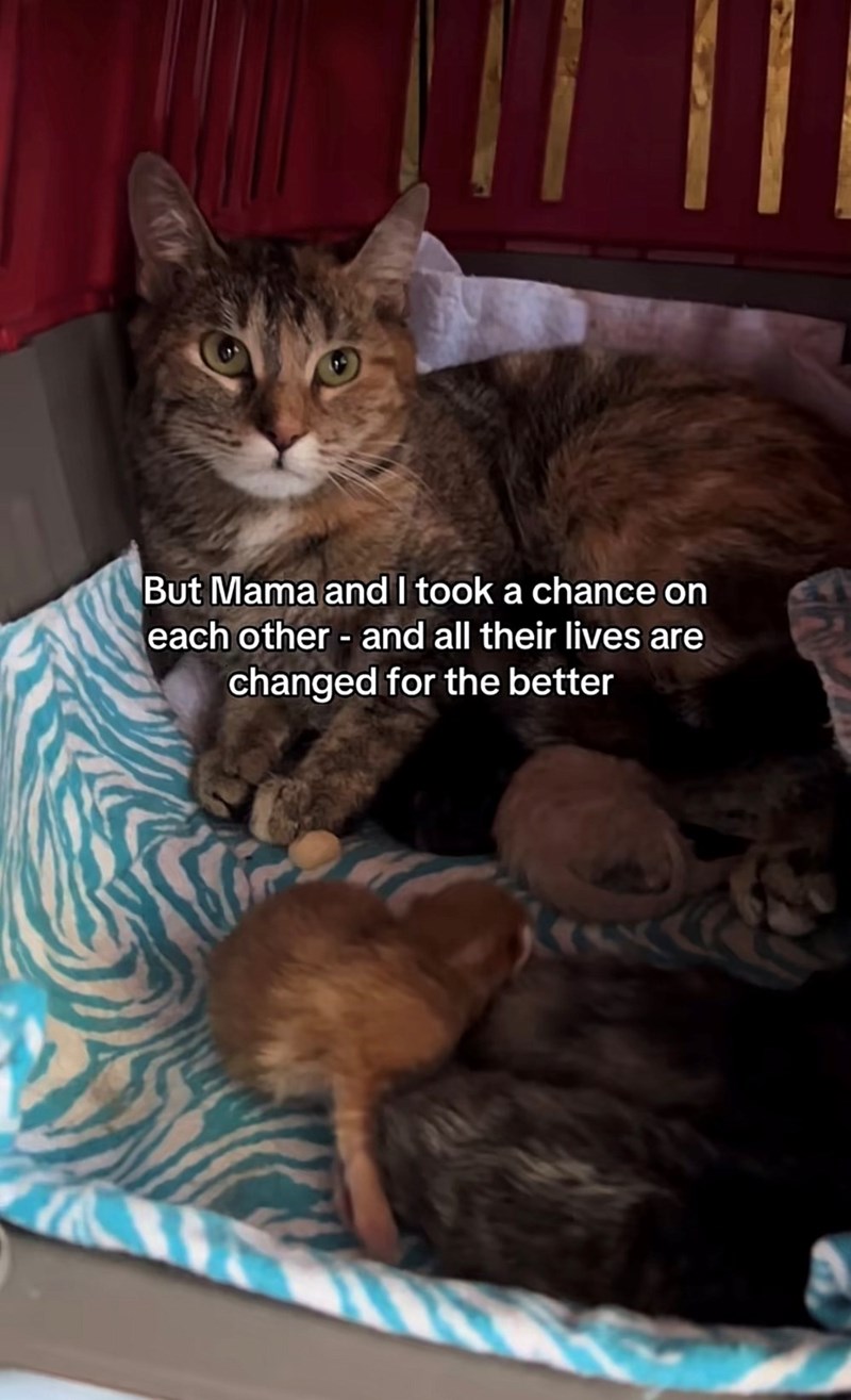 But Mama and I took a chance on each other - and all their lives are changed for the better