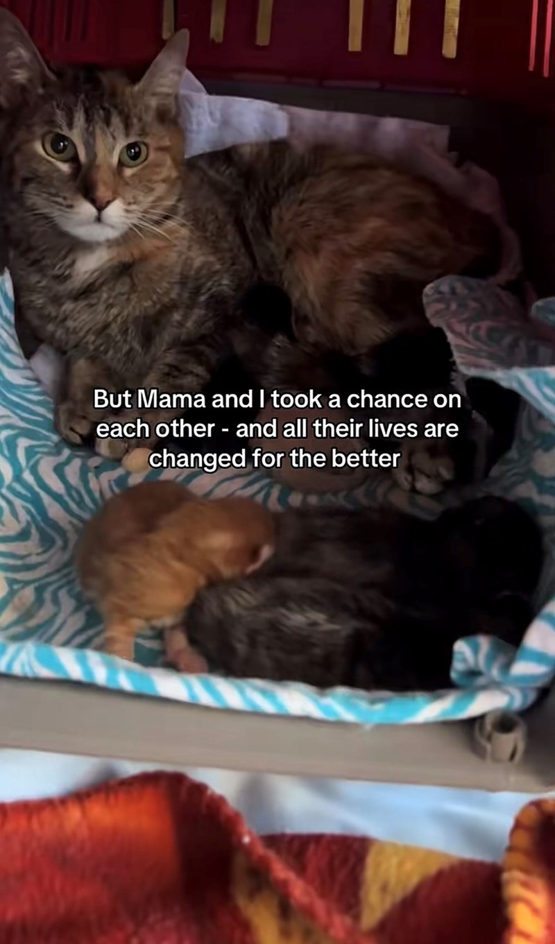But Mama and I took a chance on each other - and all their lives are changed for the better