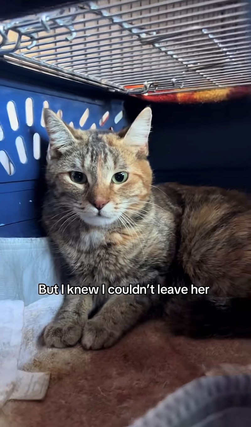 But I knew I couldn't leave her