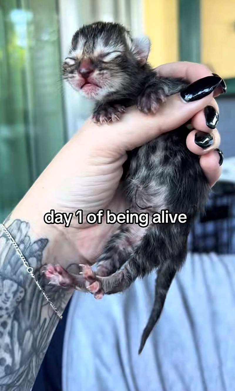 day 1 of being alive