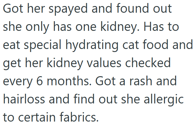 Got her spayed and found out she only has one kidney. Has to eat special hydrating cat food and get her kidney values checked every 6 months. Got a rash and hairloss and find out she allergic to certain fabrics.