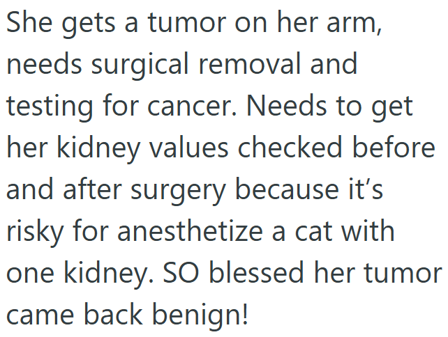 She gets a tumor on her arm, needs surgical removal and testing for cancer. Needs to get her kidney values checked before and after surgery because it's risky for anesthetize a cat with one kidney. SO blessed her tumor came back benign!