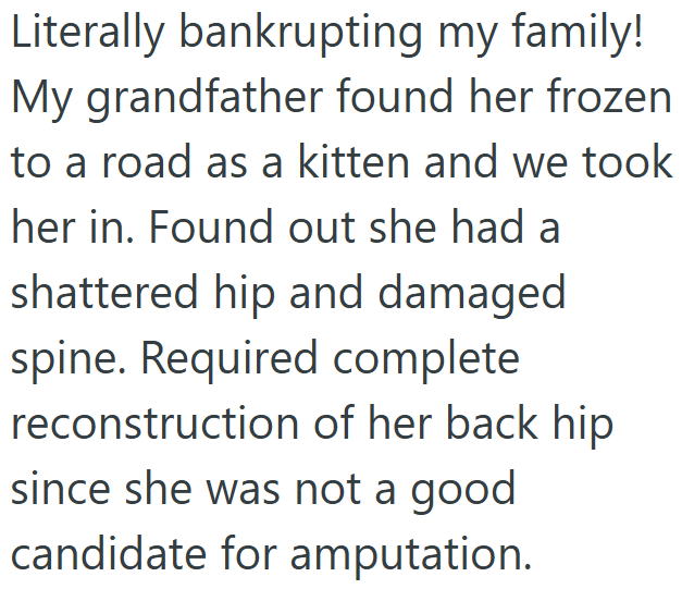 Literally bankrupting my family! My grandfather found her frozen to a road as a kitten and we took her in. Found out she had a shattered hip and damaged spine. Required complete reconstruction of her back hip since she was not a good candidate for amputation.