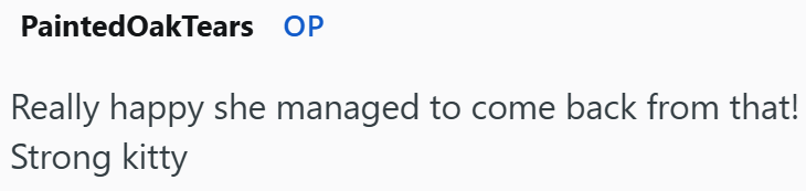 Painted Oak Tears OP Really happy she managed to come back from that! Strong kitty