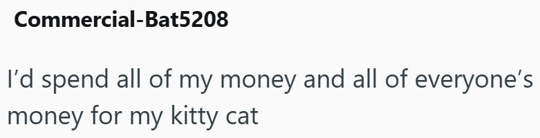 Commercial-Bat5208 I'd spend all of my money and all of everyone's money for my kitty cat