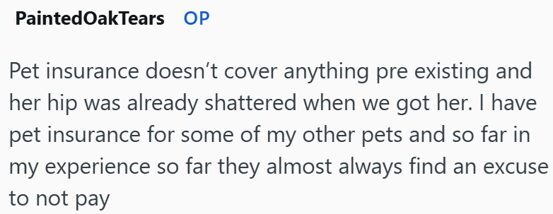 PaintedOakTears OP Pet insurance doesn't cover anything pre existing and her hip was already shattered when we got her. I have pet insurance for some of my other pets and so far in my experience so far they almost always find an excuse to not pay