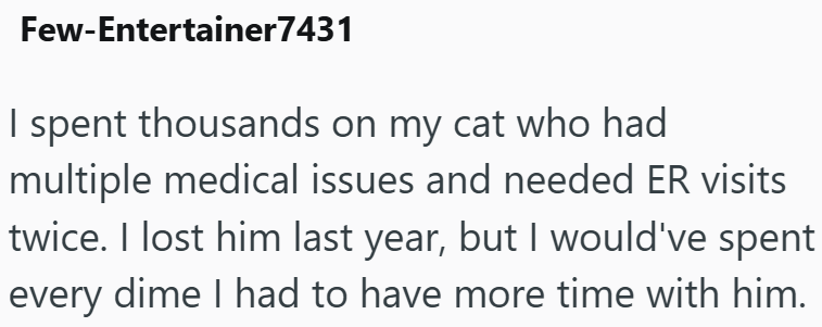 Few-Entertainer7431 I spent thousands on my cat who had multiple medical issues and needed ER visits twice. I lost him last year, but I would've spent every dime I had to have more time with him.