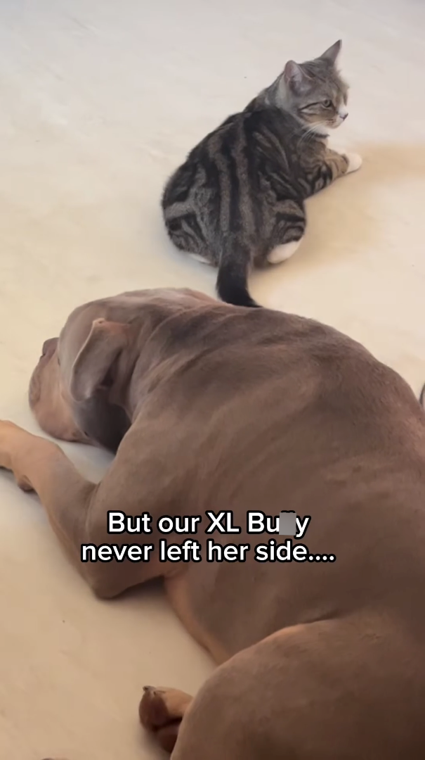 But our XL Bu y never left her side....