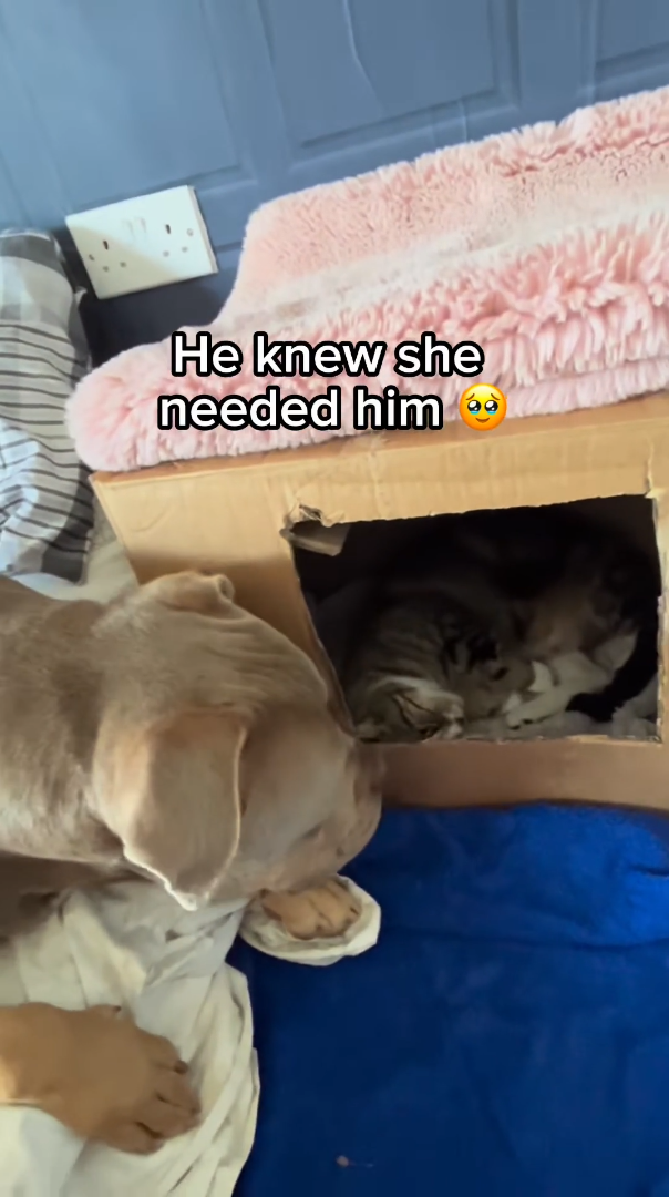 He knew she needed him