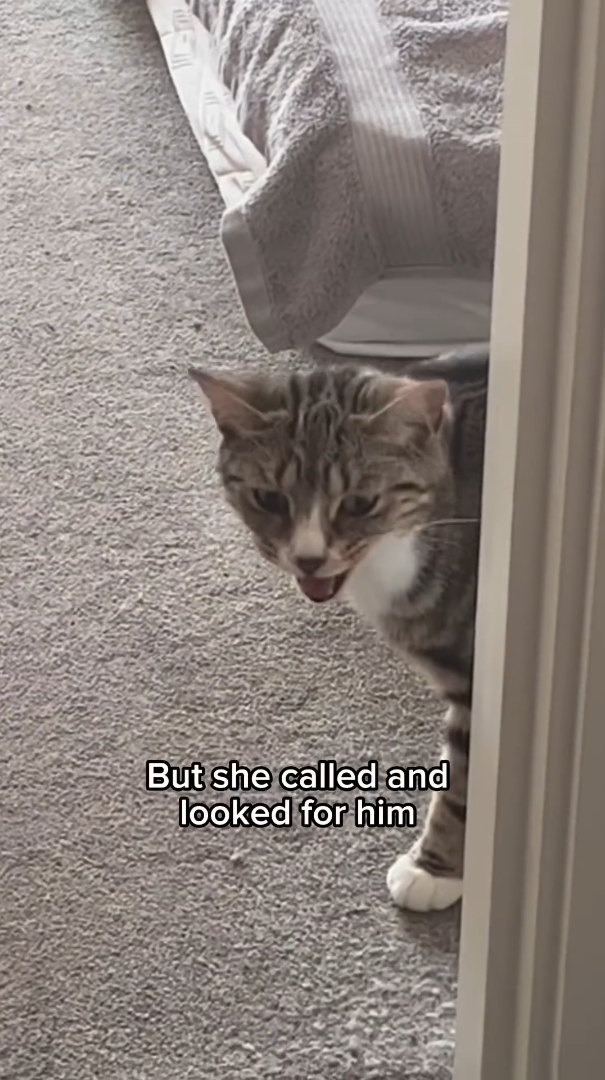 But she called and looked for him