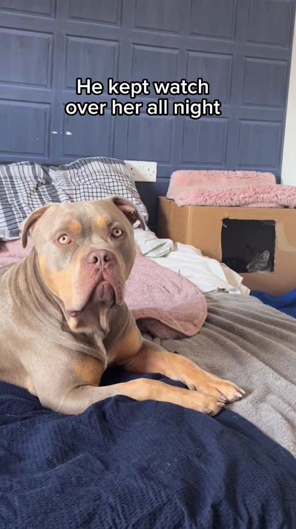 He kept watch over her all night