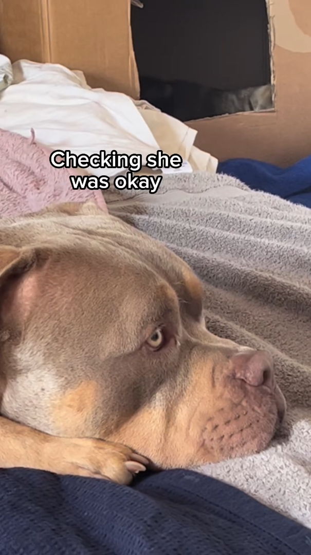 Checking she was okay