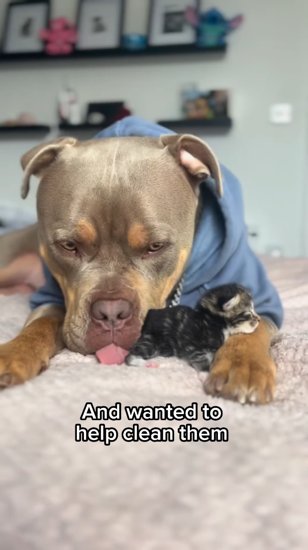 4 And wanted to help clean them