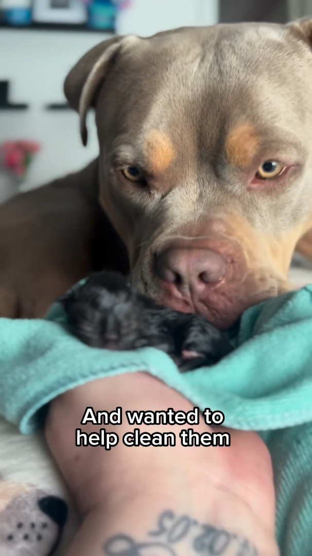 And wanted to help clean them SO 20