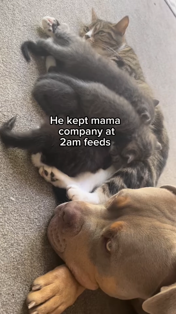 He kept mama company at 2am feeds