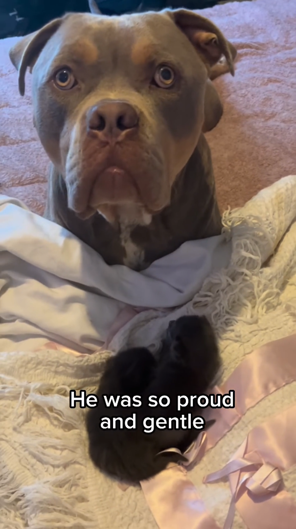 He was so proud and gentle