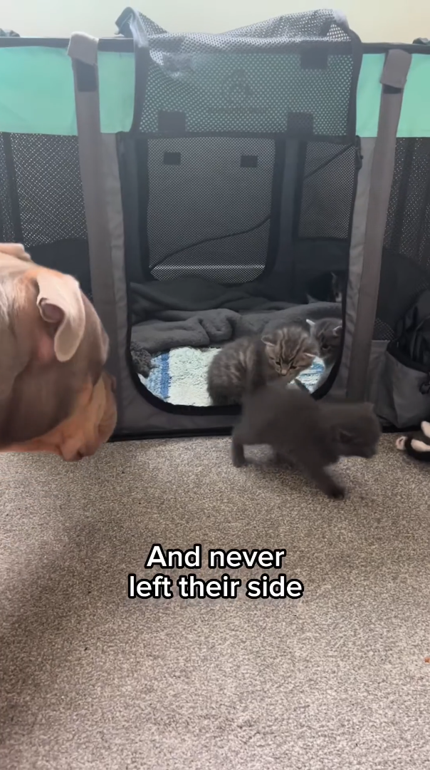 And never left their side