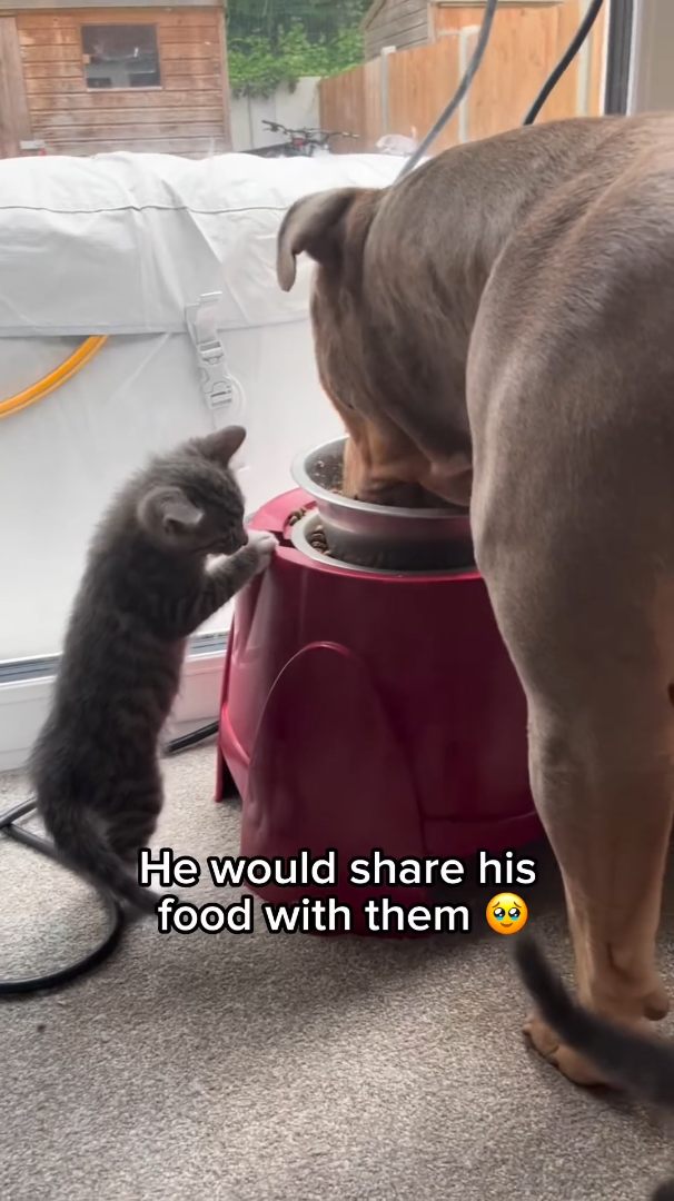 He would share his food with them