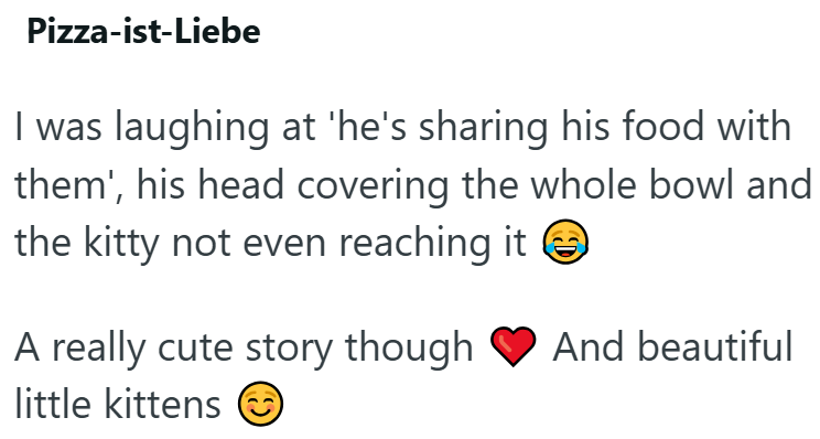 Pizza-ist-Liebe I was laughing at 'he's sharing his food with them', his head covering the whole bowl and the kitty not even reaching it ☺ A really cute story though little kittens And beautiful