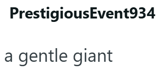 PrestigiousEvent934 a gentle giant