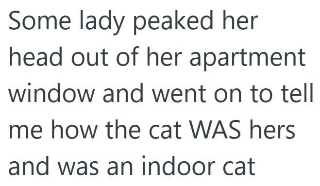 Some lady peaked her head out of her apartment window and went on to tell me how the cat WAS hers and was an indoor cat