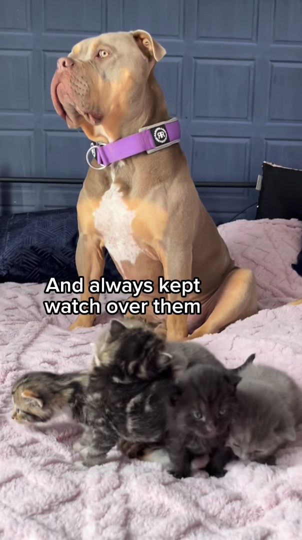 And always kept watch over them