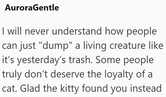 AuroraGentle I will never understand how people can just "dump" a living creature like it's yesterday's trash. Some people truly don't deserve the loyalty of a cat. Glad the kitty found you instead