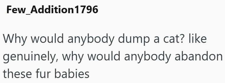 Few_Addition 1796 Why would anybody dump a cat? like genuinely, why would anybody abandon these fur babies