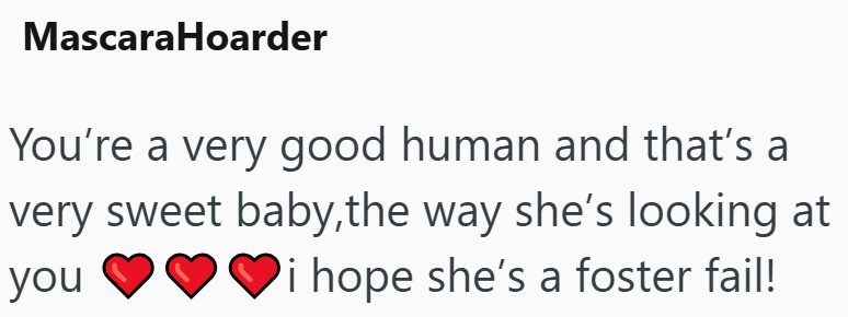 Mascara Hoarder You're a very good human and that's a very sweet baby,the way she's looking at i hope she's a foster fail! you