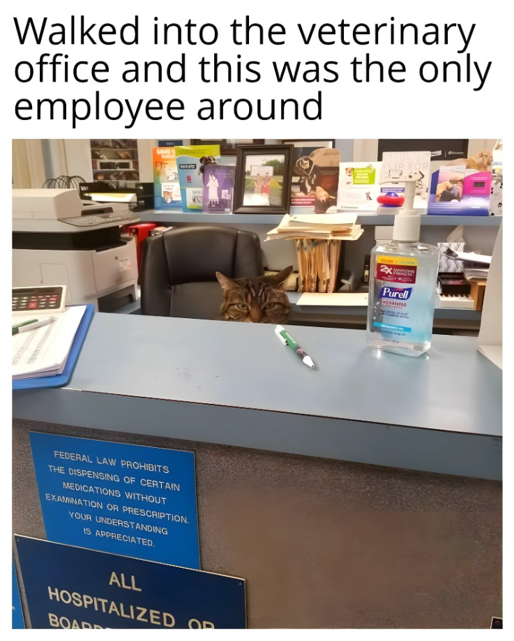 Walked into the veterinary office and this was the only employee around SAVE FEDERAL LAW PROHIBITS THE DISPENSING OF CERTAIN MEDICATIONS WITHOUT EXAMINATION OR PRESCRIPTION. YOUR UNDERSTANDING IS APPRECIATED. ALL HOSPITALIZED OR BOARD Purell GOVANCED
