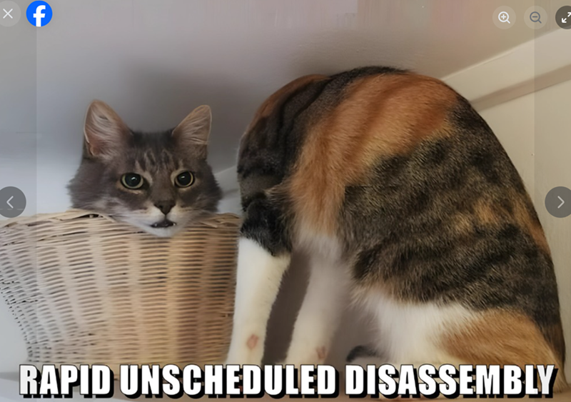 f σ RAPID UNSCHEDULED DISASSEMBLY