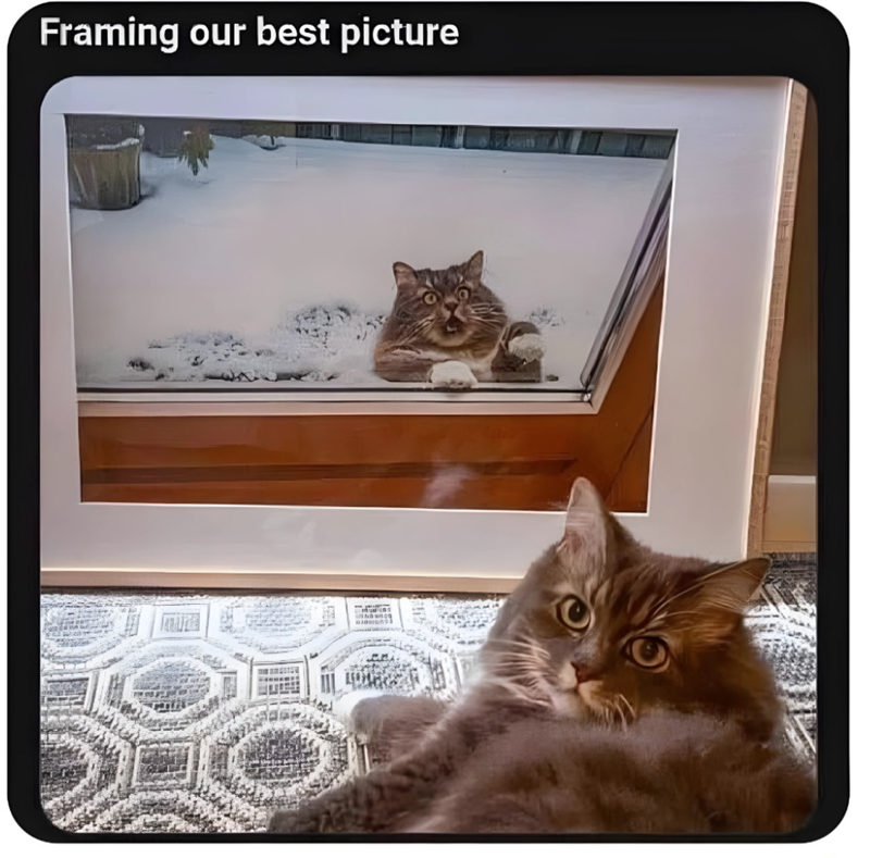 Framing our best picture