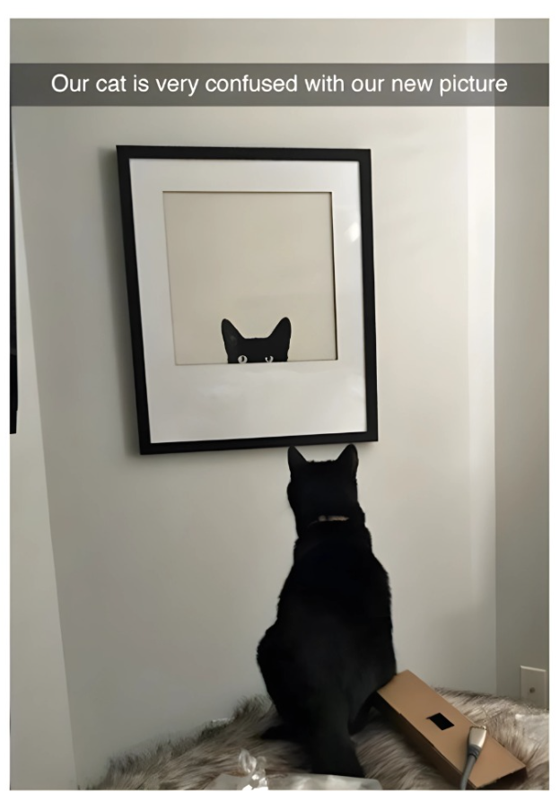 Our cat is very confused with our new picture