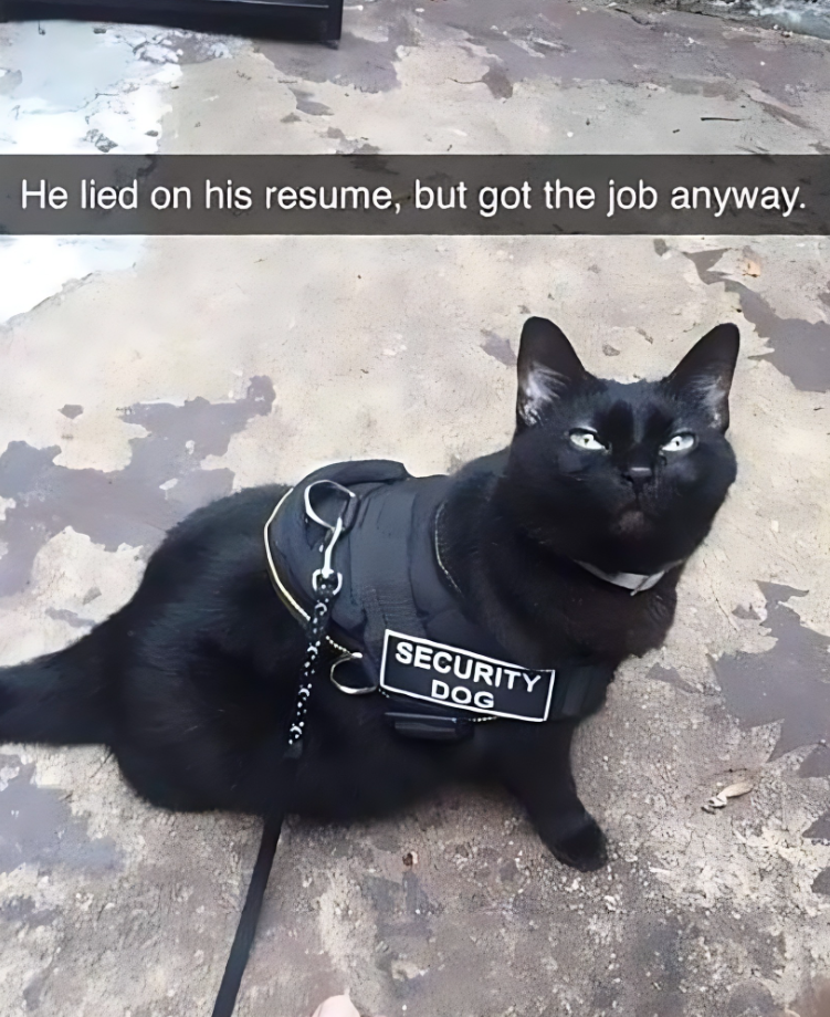 He lied on his resume, but got the job anyway. SECURITY DOG