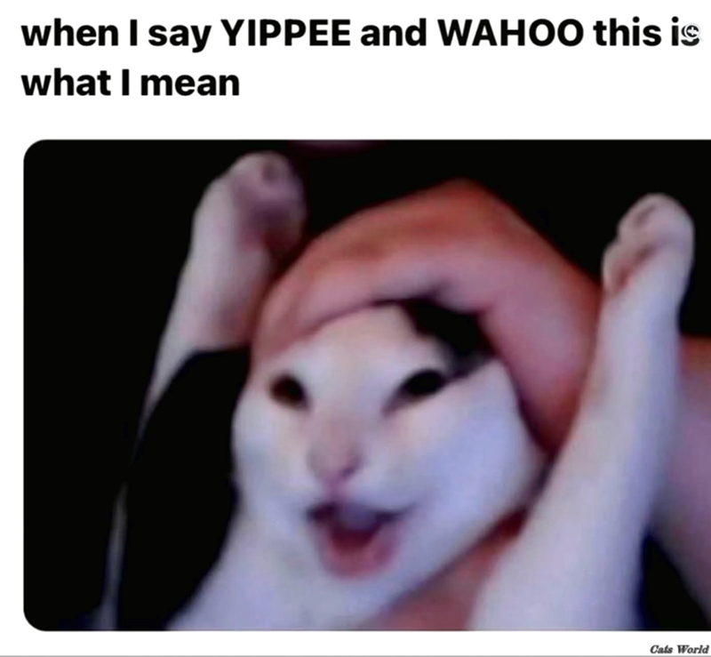 when I say YIPPEE and WAHOO this is what I mean Cats World