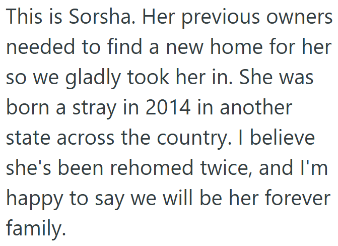 This is Sorsha. Her previous owners needed to find a new home for her so we gladly took her in. She was born a stray in 2014 in another state across the country. I believe she's been rehomed twice, and I'm happy to say we will be her forever family.