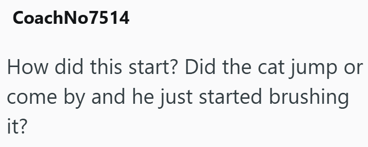 CoachNo7514 How did this start? Did the cat jump or come by and he just started brushing it?
