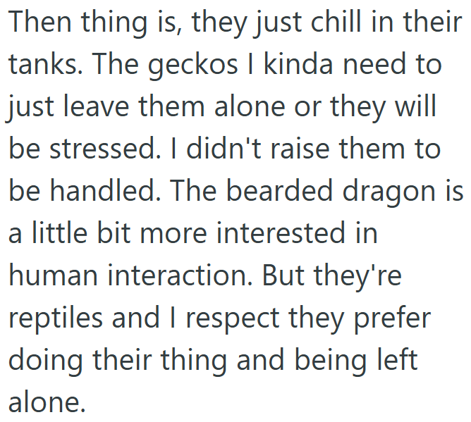 Then thing is, they just chill in their tanks. The geckos I kinda need to just leave them alone or they will be stressed. I didn't raise them to be handled. The bearded dragon is a little bit more interested in human interaction. But they're reptiles and I respect they prefer doing their thing and being left alone.