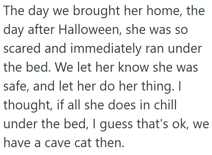 The day we brought her home, the day after Halloween, she was so scared and immediately ran under the bed. We let her know she was safe, and let her do her thing. I thought, if all she does in chill under the bed, I guess that's ok, we have a cave cat then.