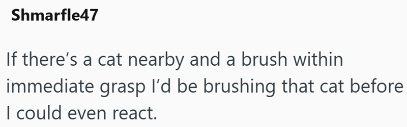Shmarfle47 If there's a cat nearby and a brush within immediate grasp I'd be brushing that cat before I could even react.