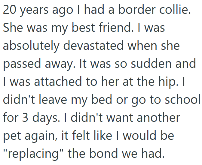 20 years ago I had a border collie. She was my best friend. I was absolutely devastated when she passed away. It was so sudden and I was attached to her at the hip. I didn't leave my bed or go to school for 3 days. I didn't want another pet again, it felt like I would be "replacing" the bond we had.