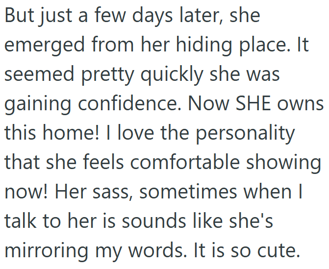 But just a few days later, she emerged from her hiding place. It seemed pretty quickly she was gaining confidence. Now SHE owns this home! I love the personality that she feels comfortable showing now! Her sass, sometimes when I talk to her is sounds like she's mirroring my words. It is so cute.