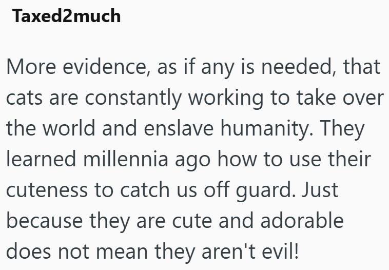 Taxed2much More evidence, as if any is needed, that cats are constantly working to take over the world and enslave humanity. They learned millennia ago how to use their cuteness to catch us off guard. Just because they are cute and adorable does not mean they aren't evil!